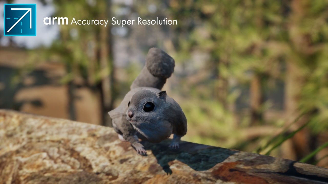 Media 1 for listing Arm Accuracy Super Resolution™