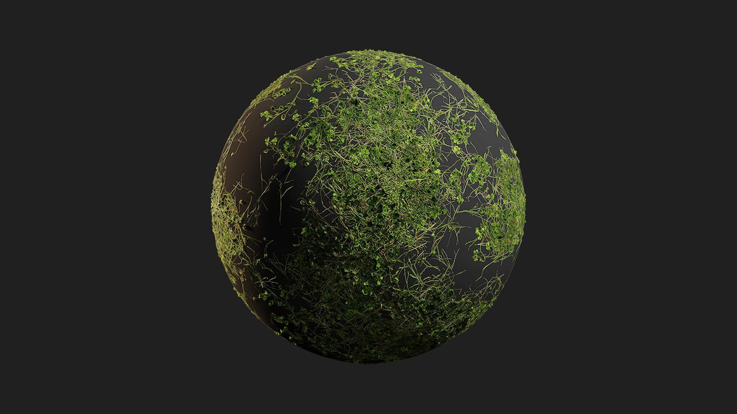 Media 1 for listing Scattered Grass