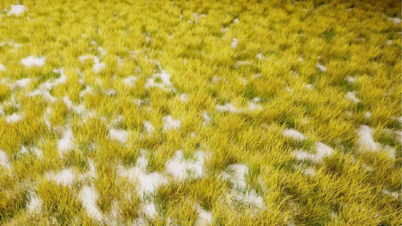 Media 1 for listing Full Geometry Grass Pack Vol 4