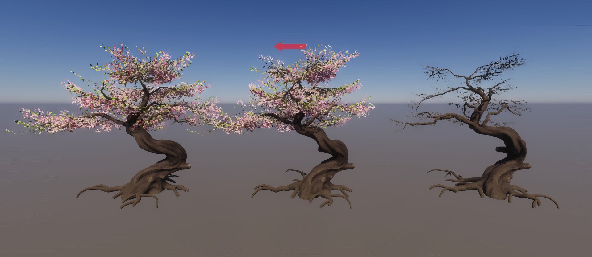 Media 1 for listing cherry blossom ornemental