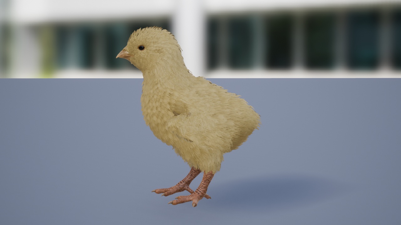 Media 1 for listing Feathered Chick