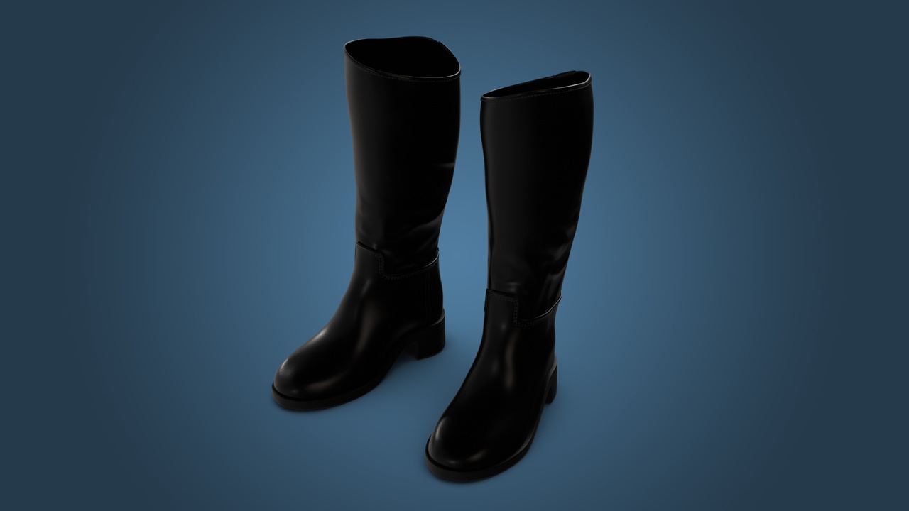 Media 1 for listing Classic Knee-High Boots