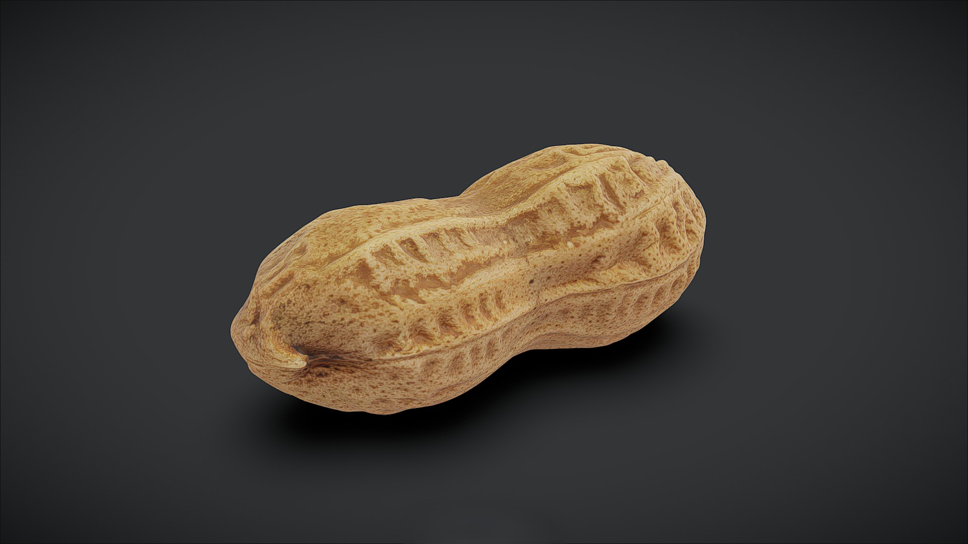 Peanut In The Shell | Fab