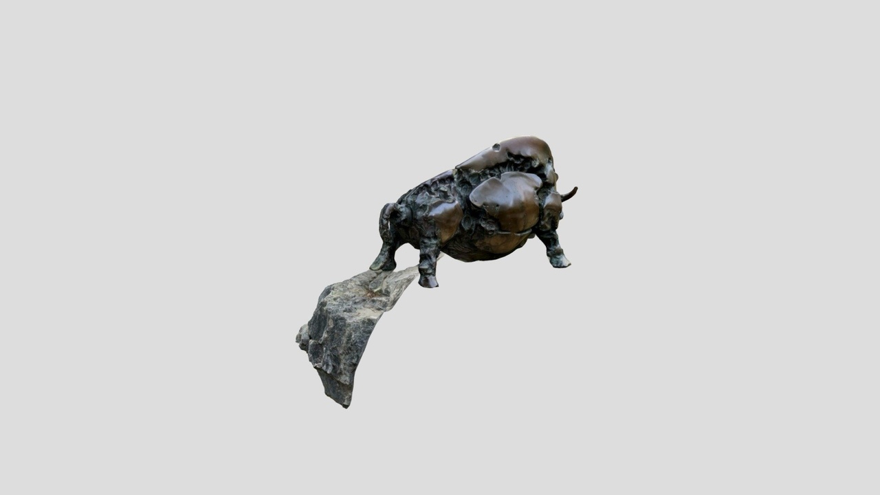Media 1 for listing Bull