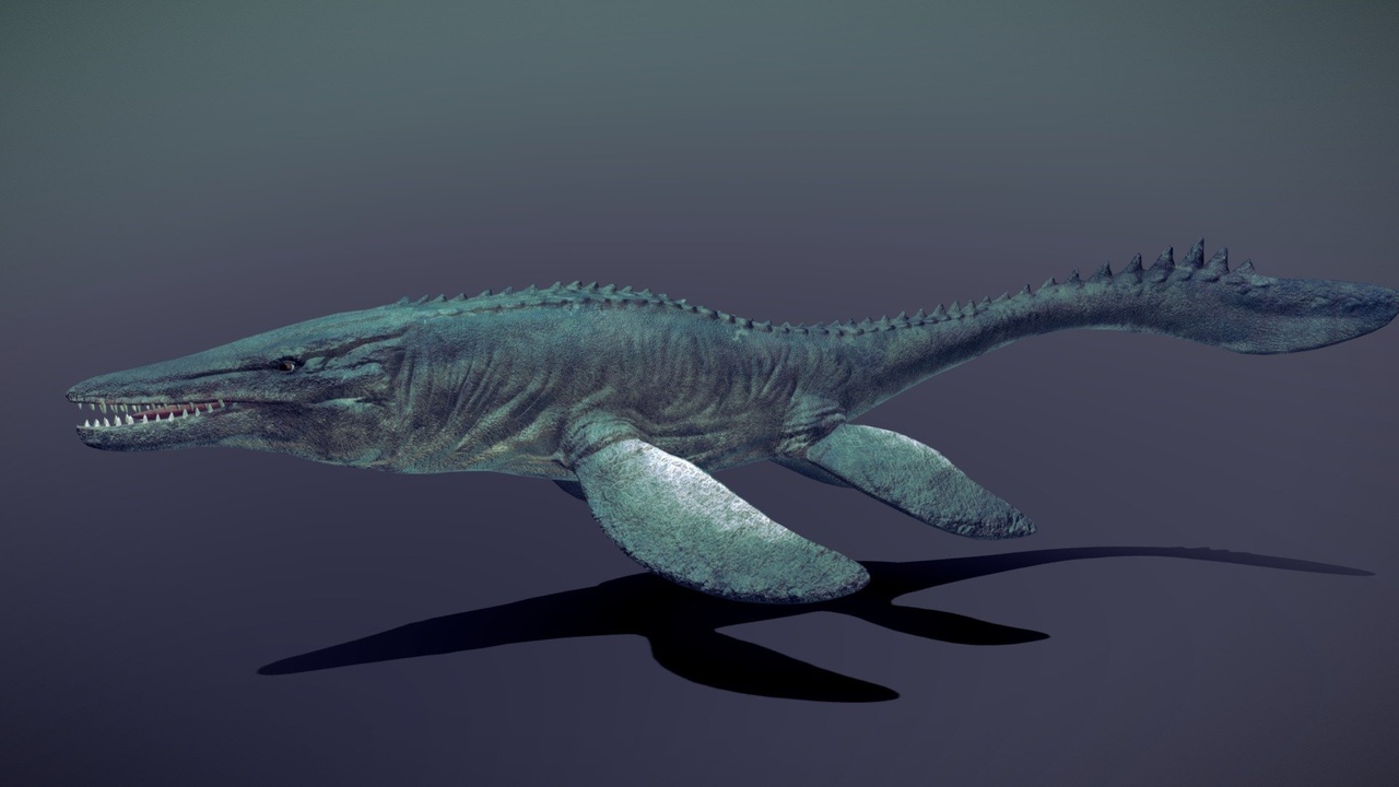 Media 1 for listing Mosasaurus