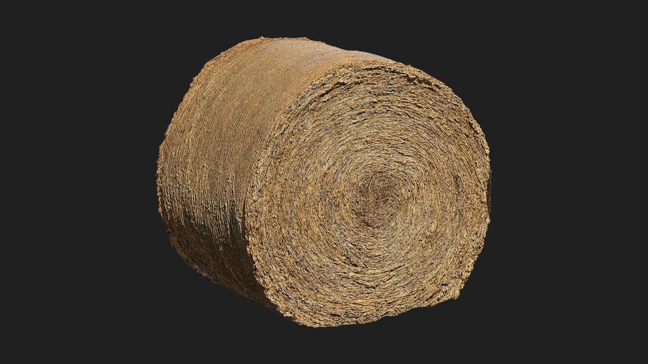 Media 1 for listing Round Hay Bale
