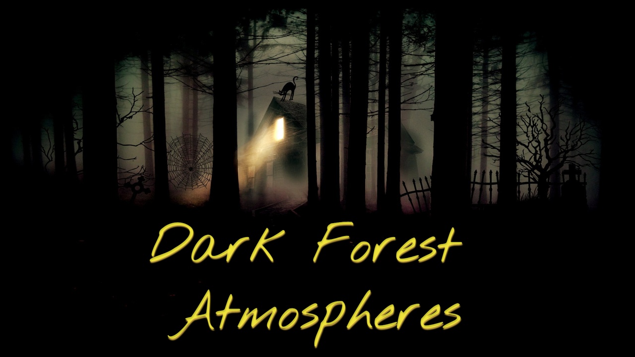 Media 1 for listing Ethereal Forest Soundscapes: Dark & Chilling Atmospheres