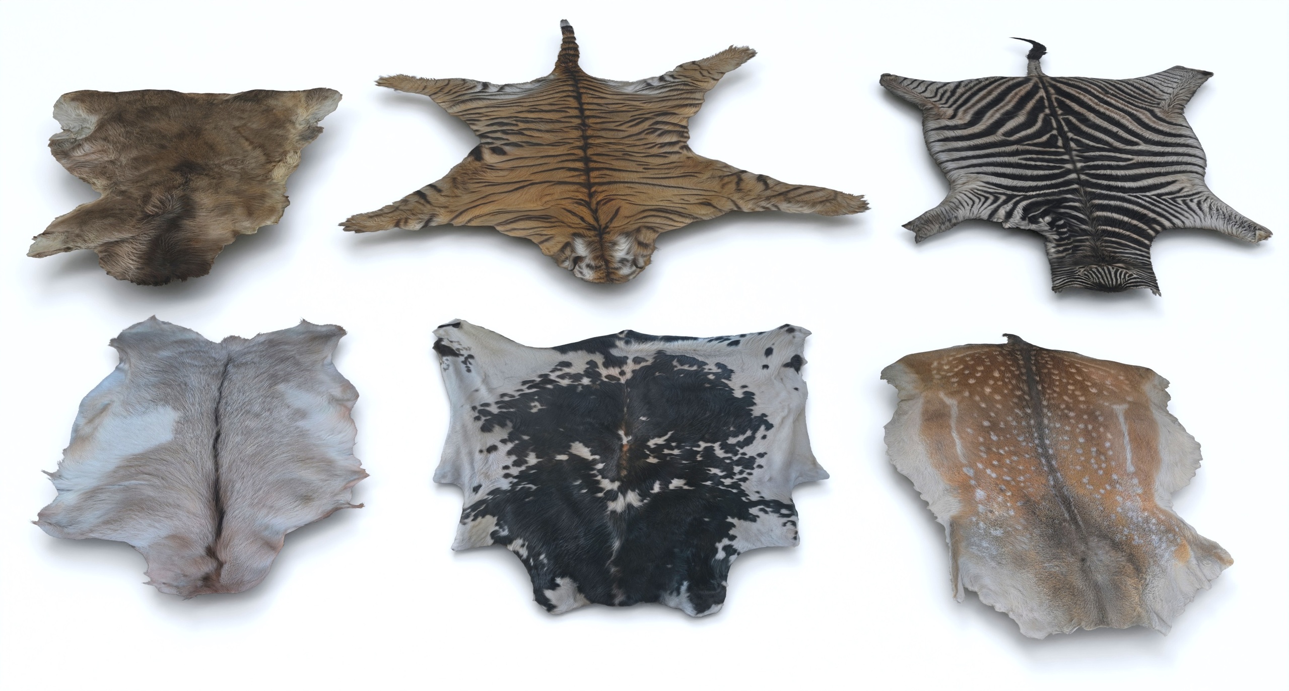 Medium 1 für Eintrag animal pelts volume two: cow, zebra, tiger, deer, goat 4K