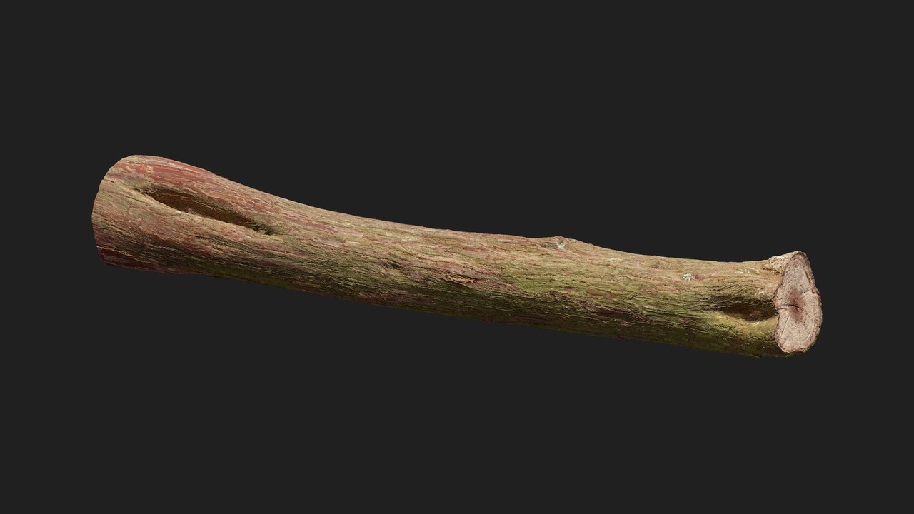 商品 Juniper Branch 的媒体 1