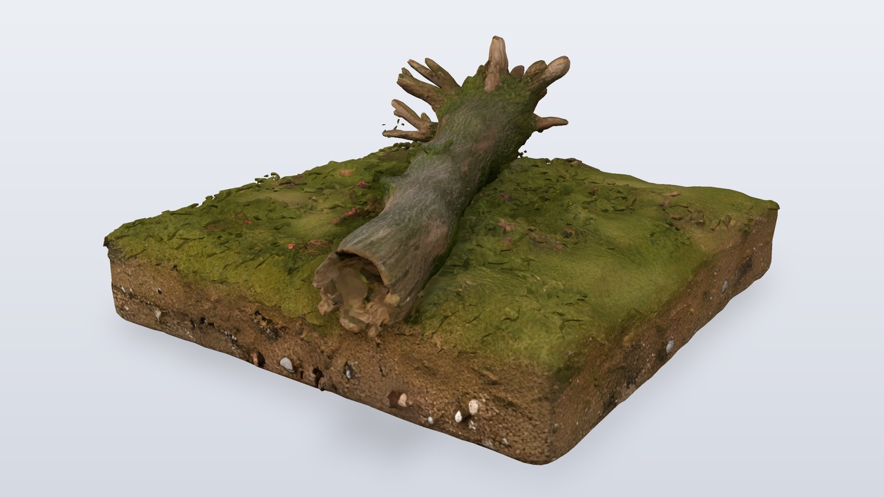 Media 1 for listing Fallen Log Forest Floor Tile