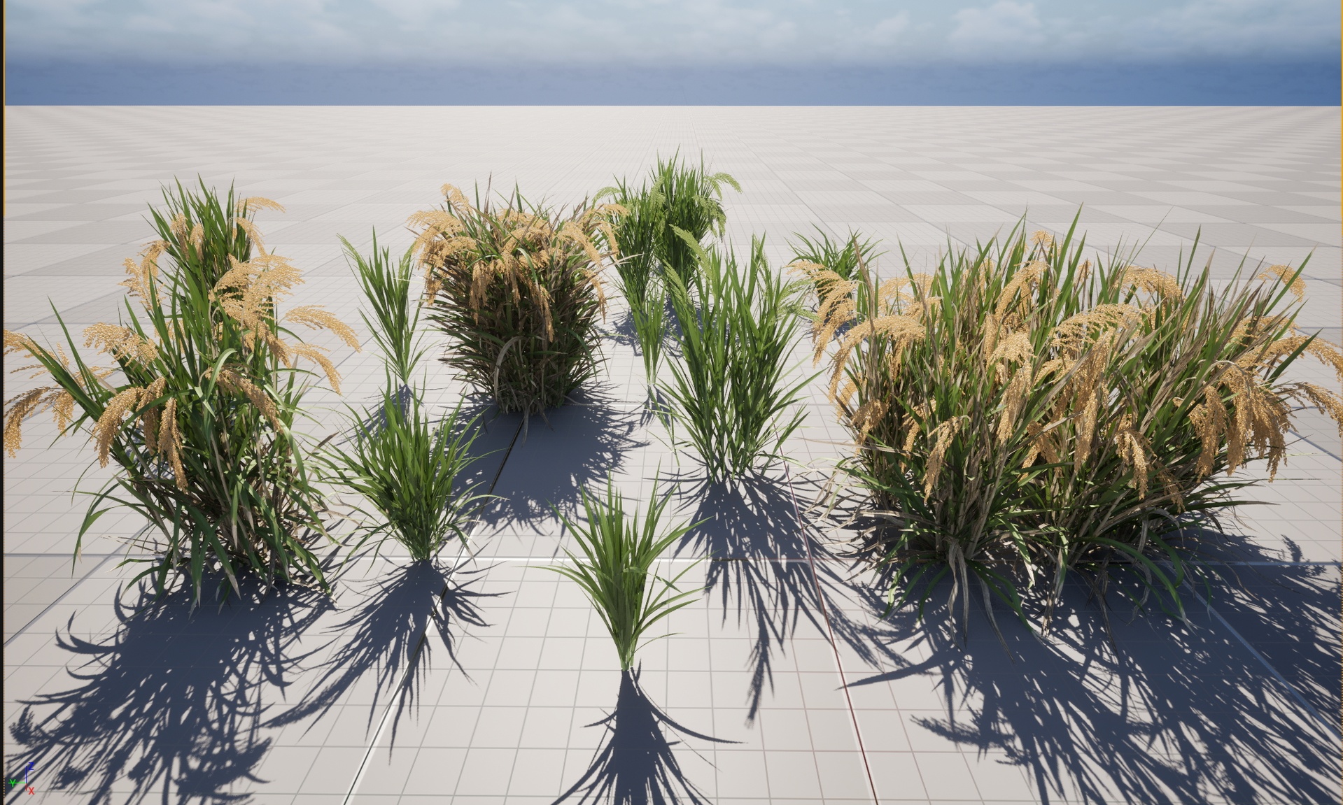 Media 1 for listing Nanite Wind Plants - Oryza sativa - Rice (FullGeometry)