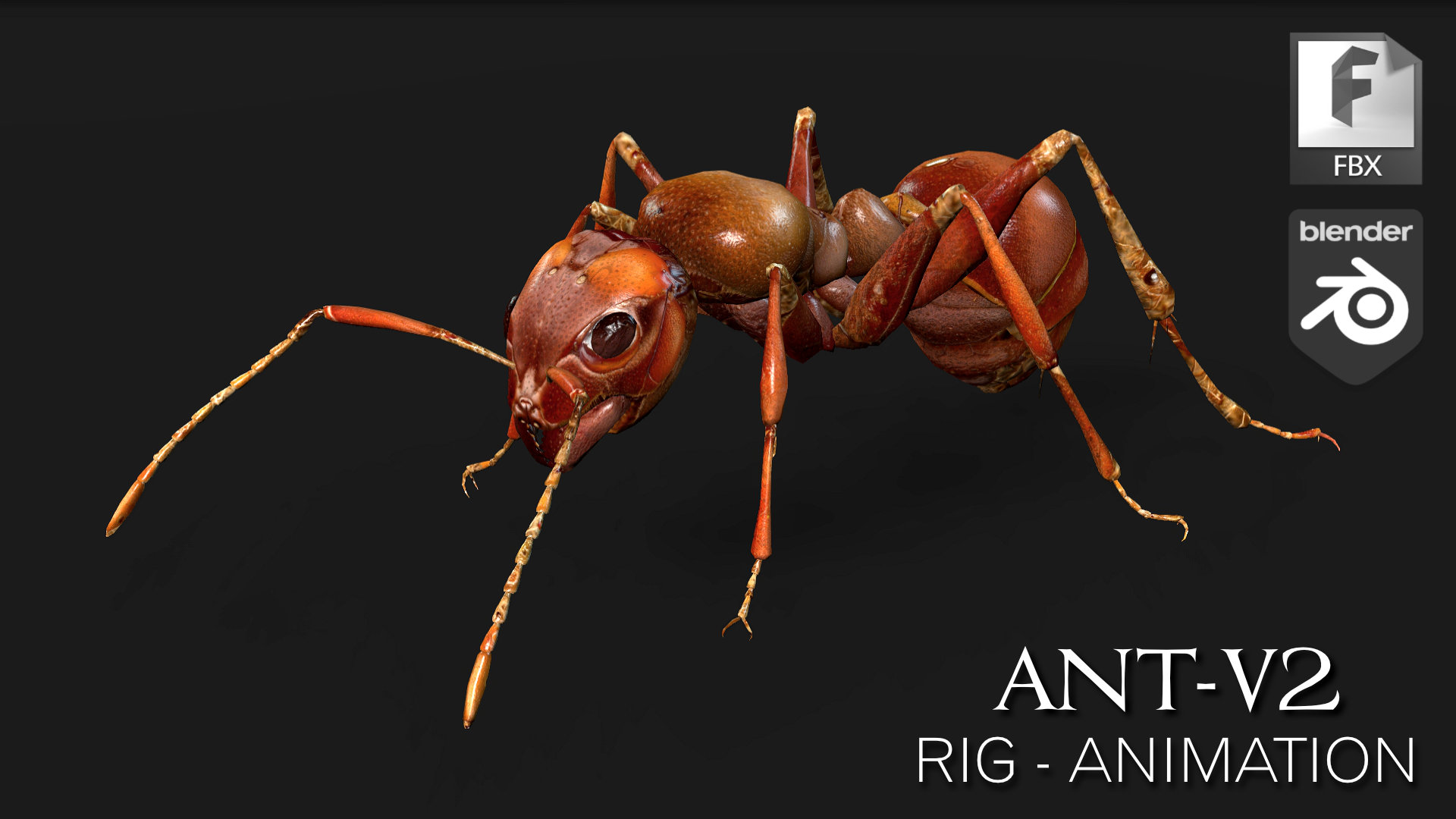 Ant_V2 | Fab