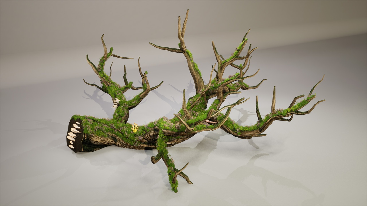 Media 1 for listing Mossy Snag
