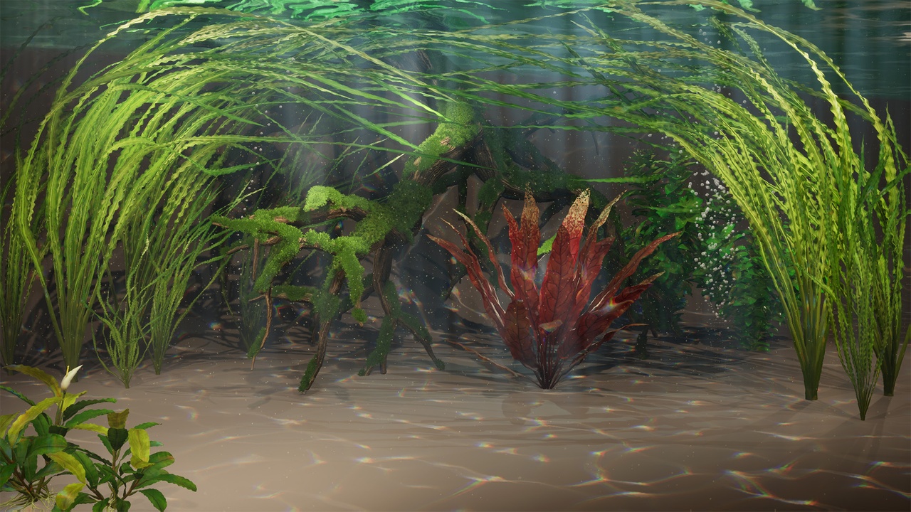 Média 1 pour l'article Aquascape – Modular Underwater Scene with Animated Plants