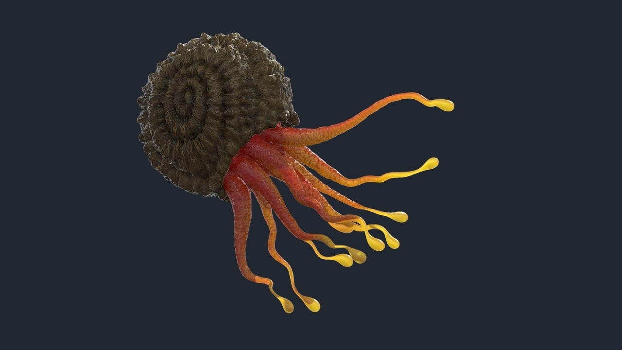 出品Alien Sea Snailのメディア1