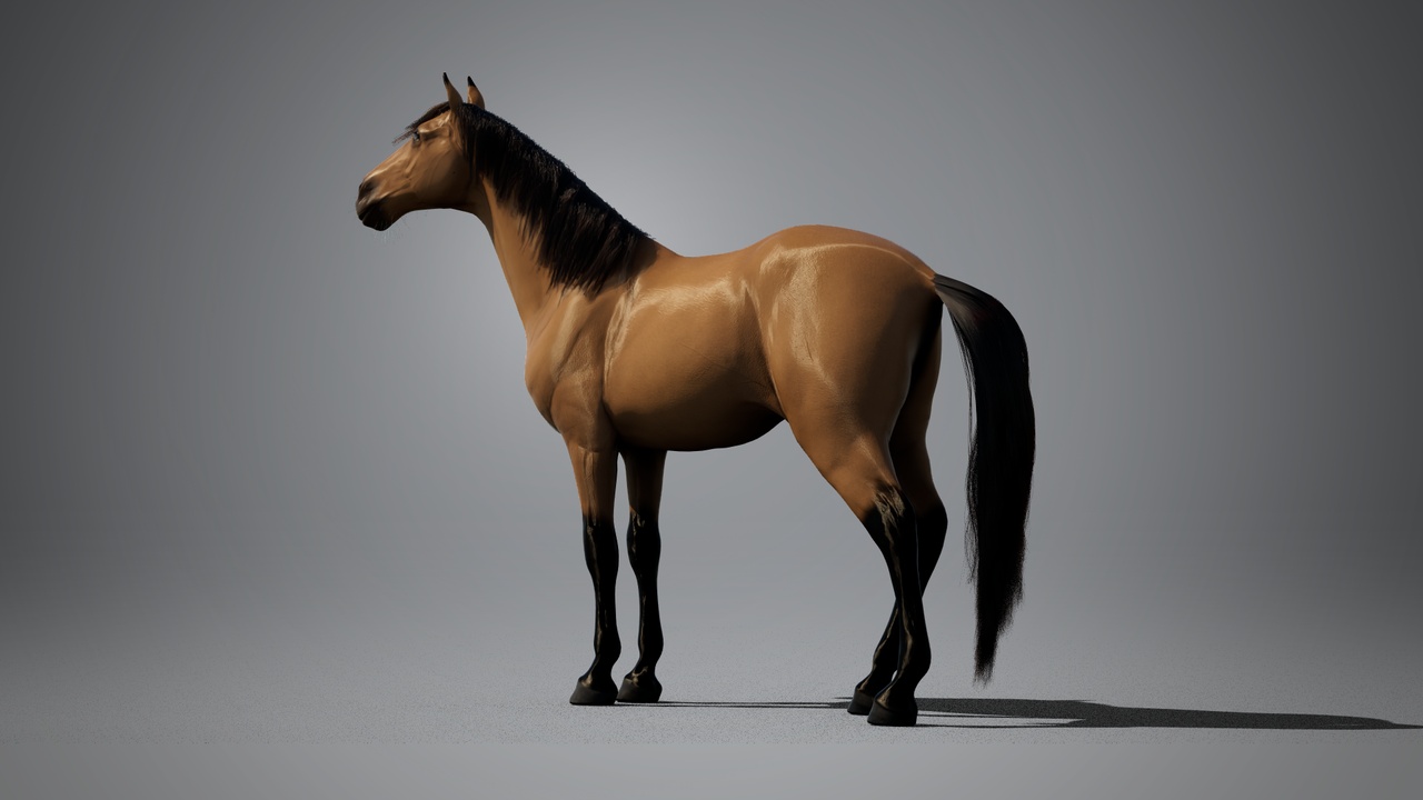 Media 1 for listing Horse Unicorn