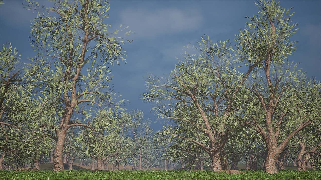 Media 1 for listing Realistic Low Poly Tree Pack 54M