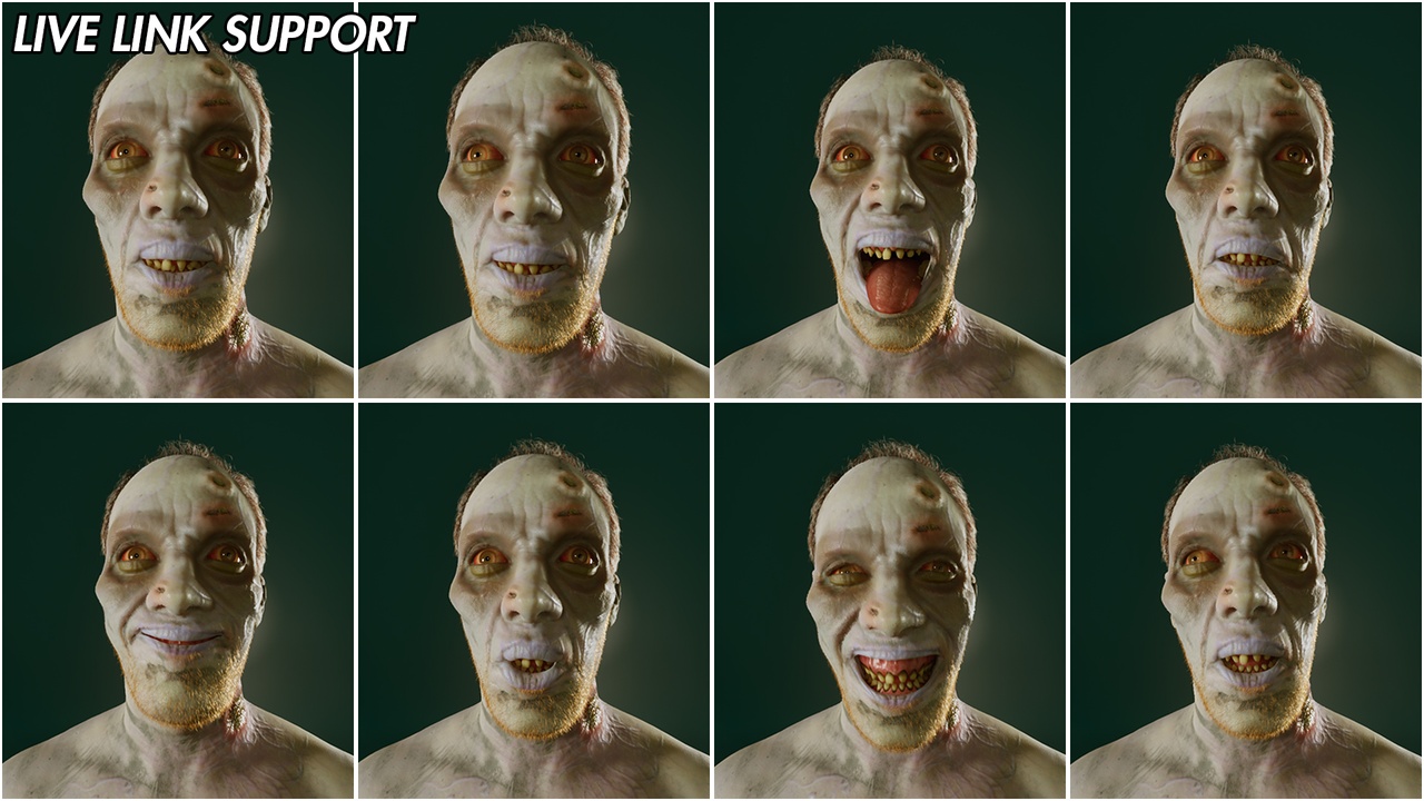 Media 1 for listing Zombie Walker for Metahuman Creator