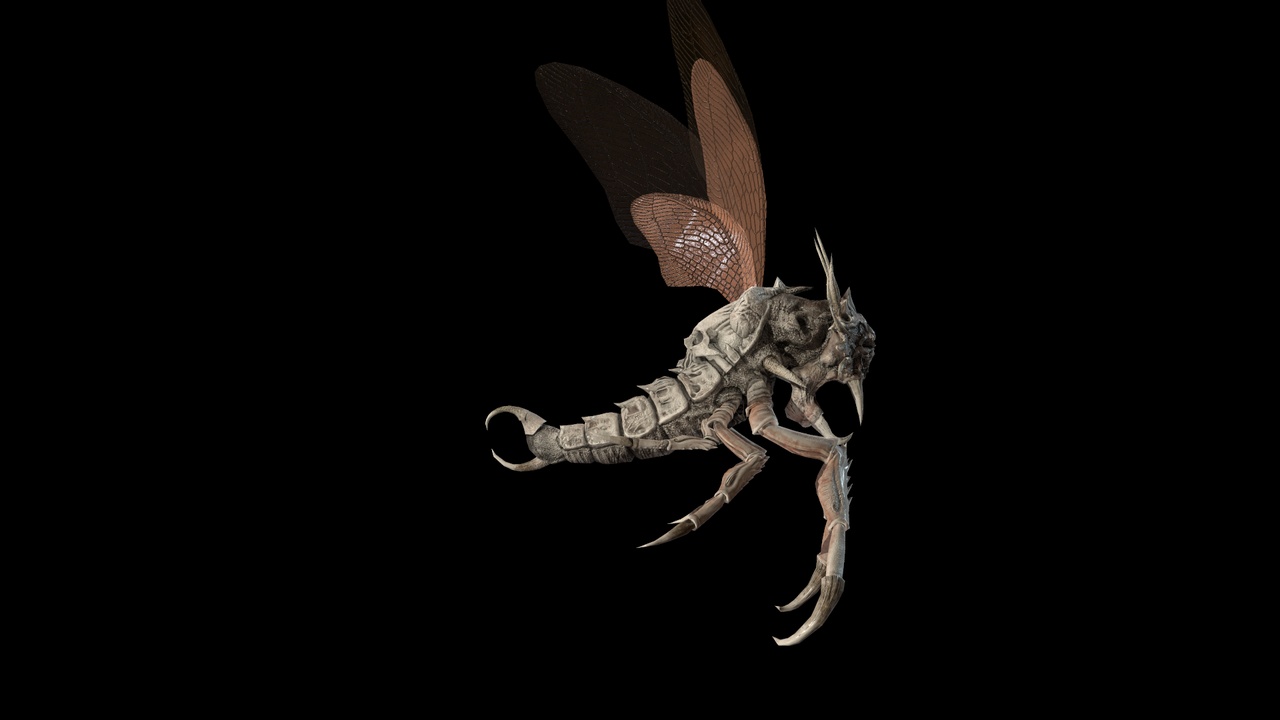 商品 Monster_Beetle_Pack 的媒体 1