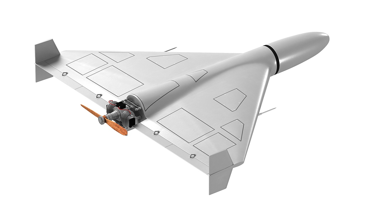 Media 1 for listing Attack Flying Wing Drone