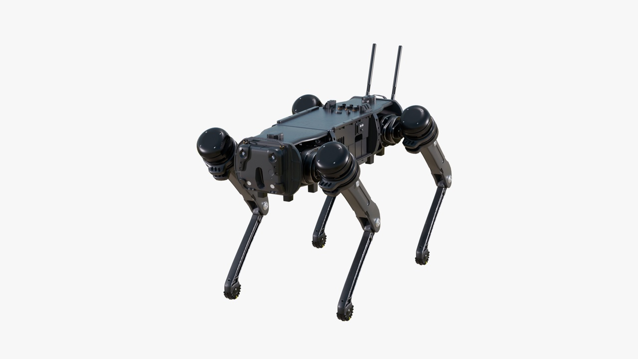 Media 1 for listing Robot Dog