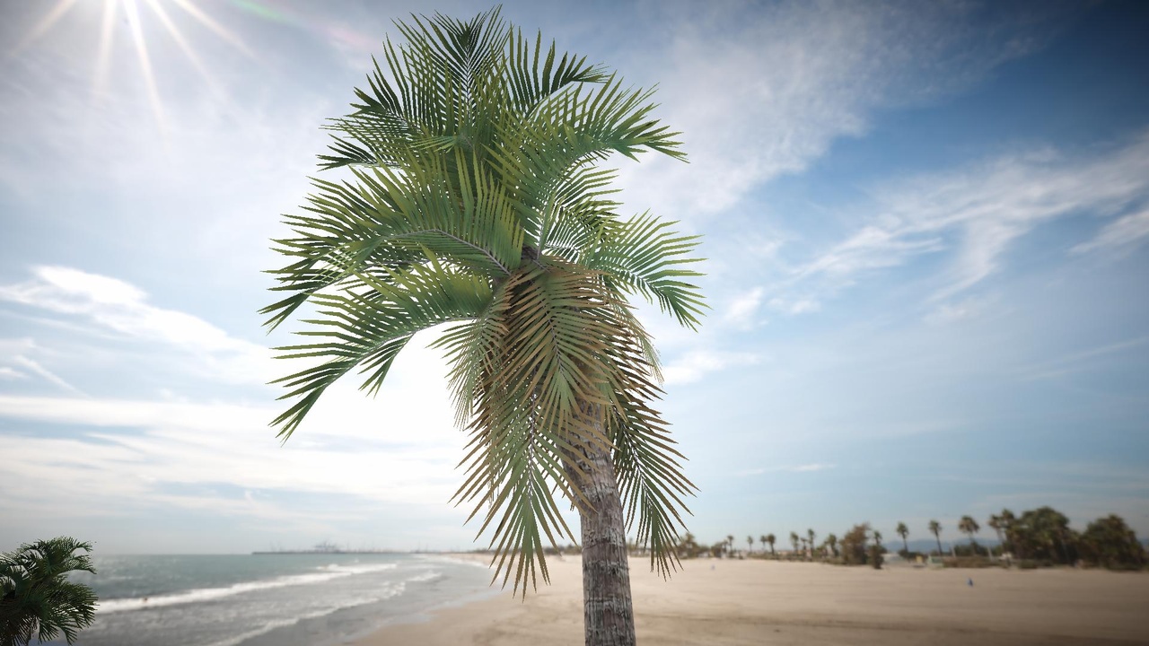 Media 1 for listing Realistic Palm Pack 4 (Mobile/Desktop)
