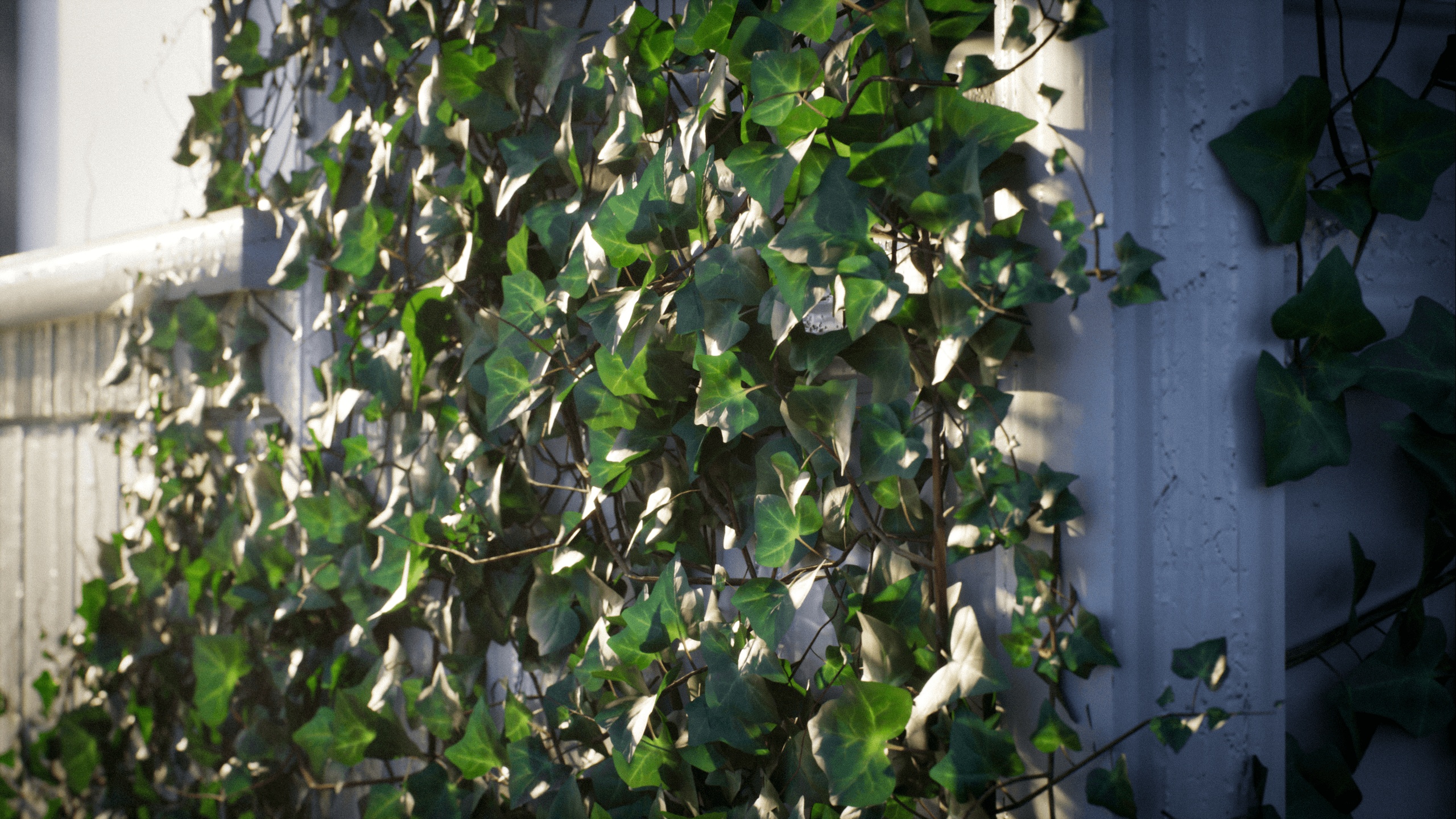 Medium 1 für Eintrag Vines and climbing plants with texture generator and spline (Hedera)