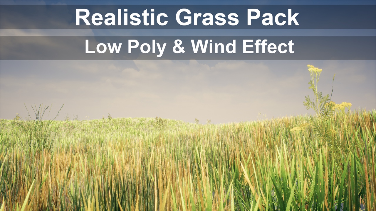 Media 1 for listing Low Poly Realistic Grass Pack