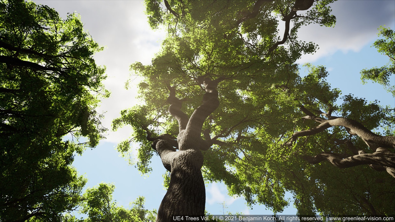 Media 1 for listing Trees Vol. 4 (Extreme Realistic Wind)