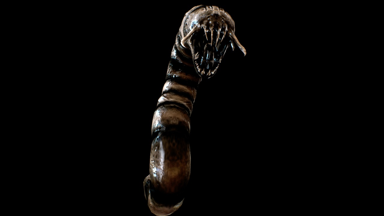 Media 1 for listing NPC Small Worm