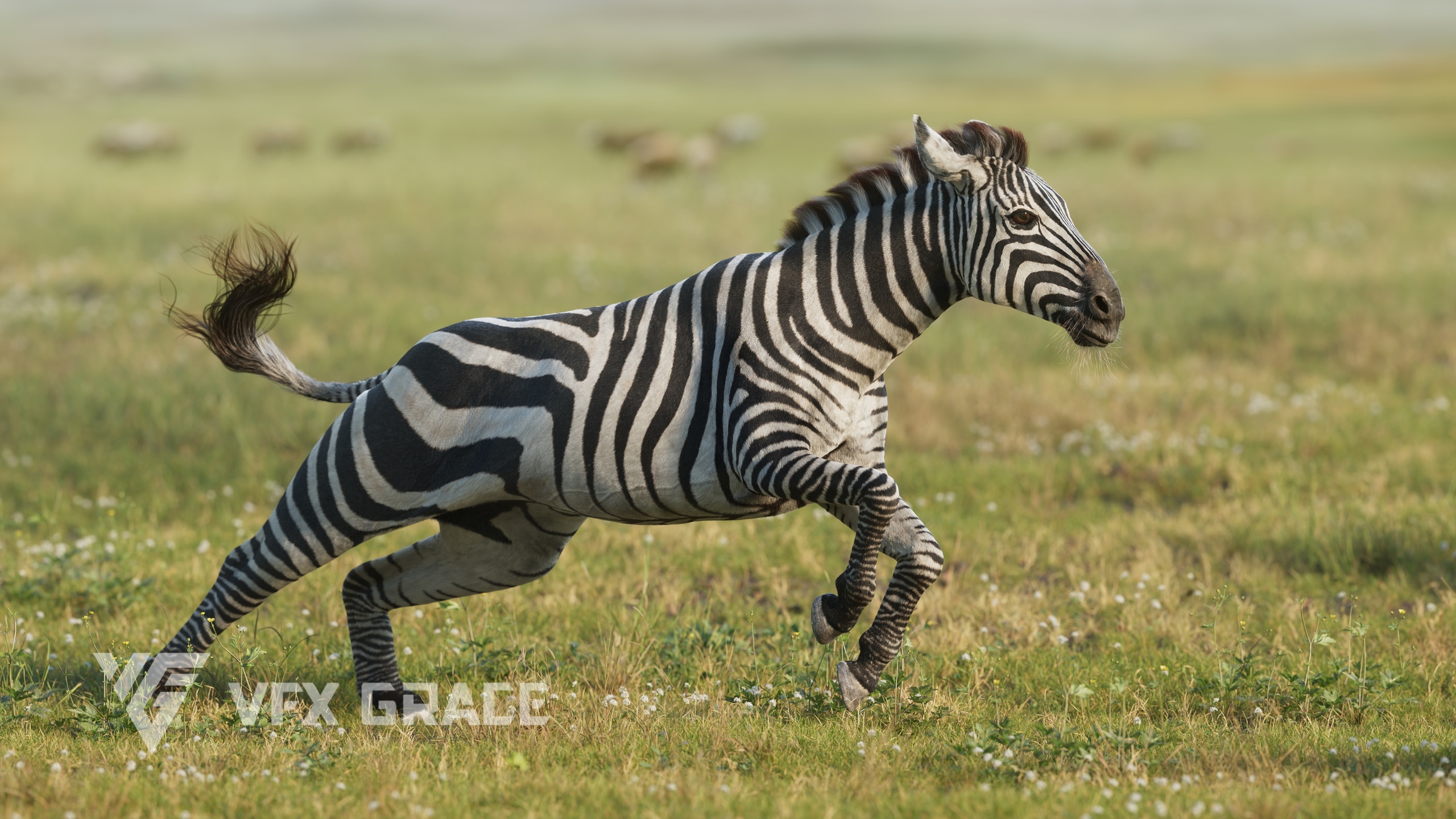 Media 1 for listing Realistic Zebra 3D Model for UE5 – 3 Textures, Groomed Fur, Rigged & 4 Animation
