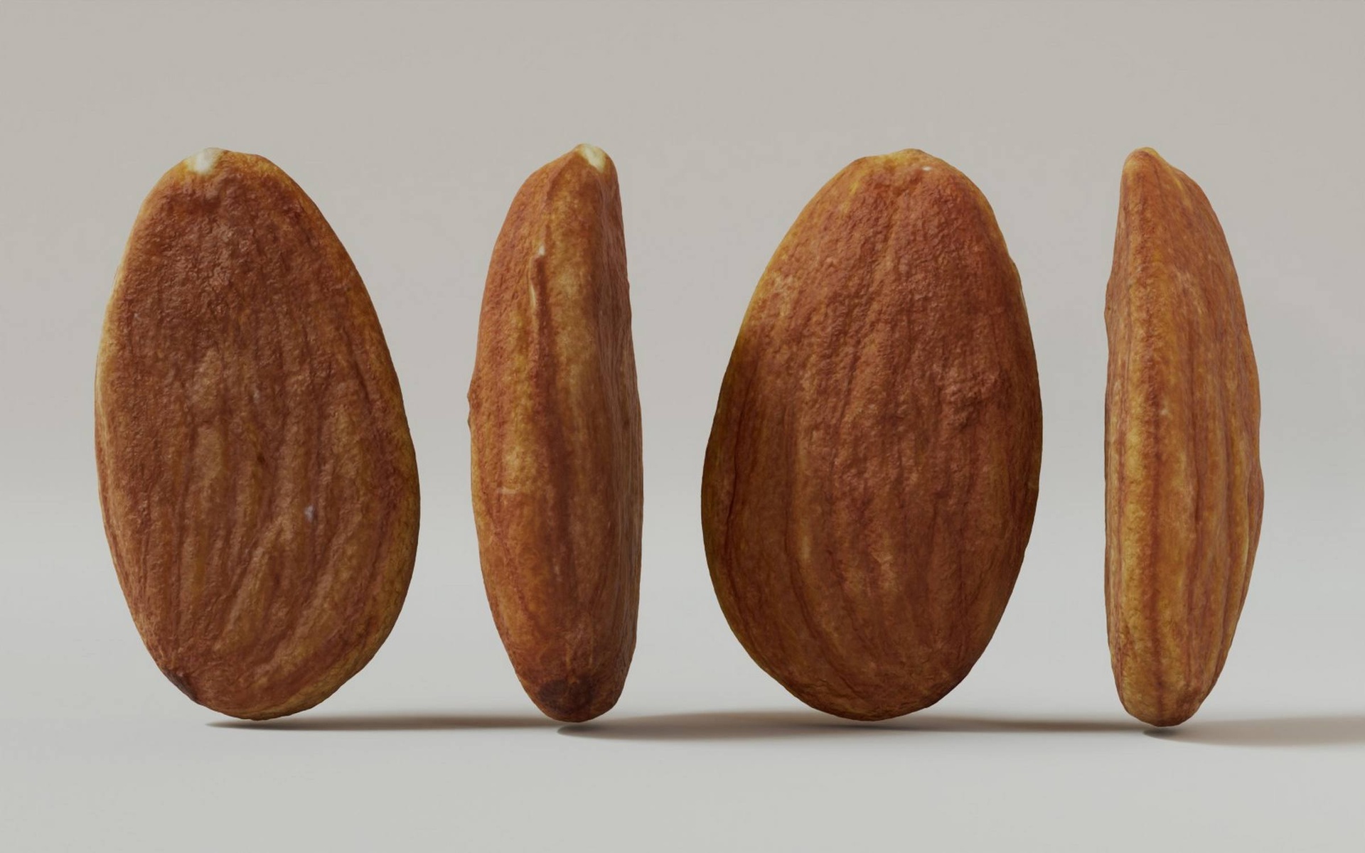 Multimedia 1 para anuncio Almond 3D Model