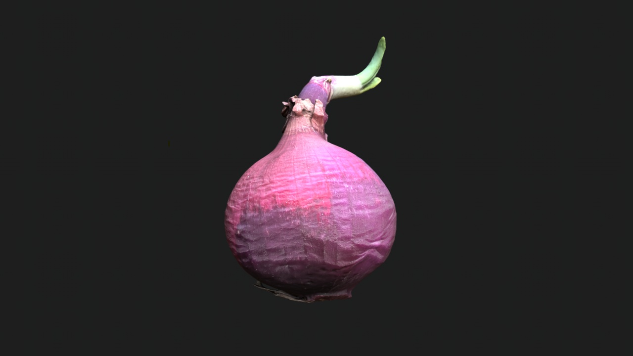 Media 1 for listing Sprouted Fresh Onion Photogrammetry Scan – Variant A (Game-Ready)