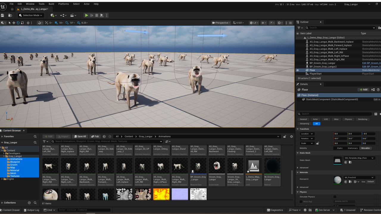 Media 1 for listing Gray Langur Monkey
