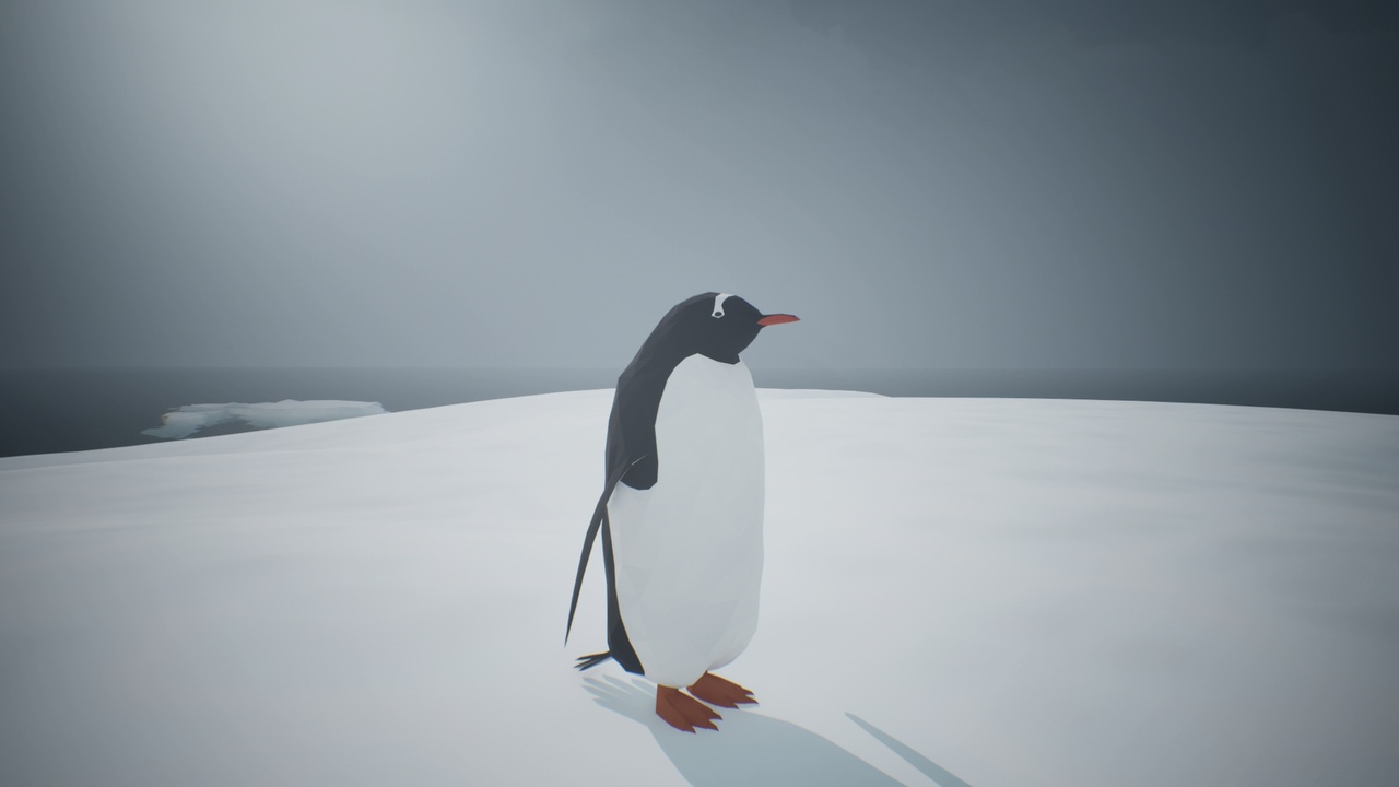 Media 1 for listing Low Poly Bird: Penguin
