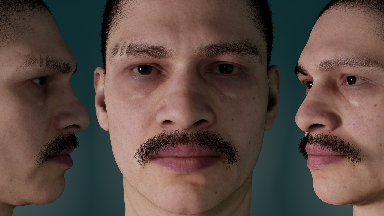 Media 1 for listing Metahuman moustache groom