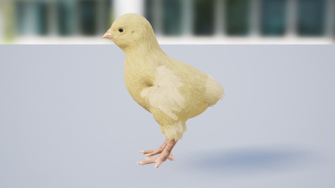 Media 1 for listing Chick Basic Version