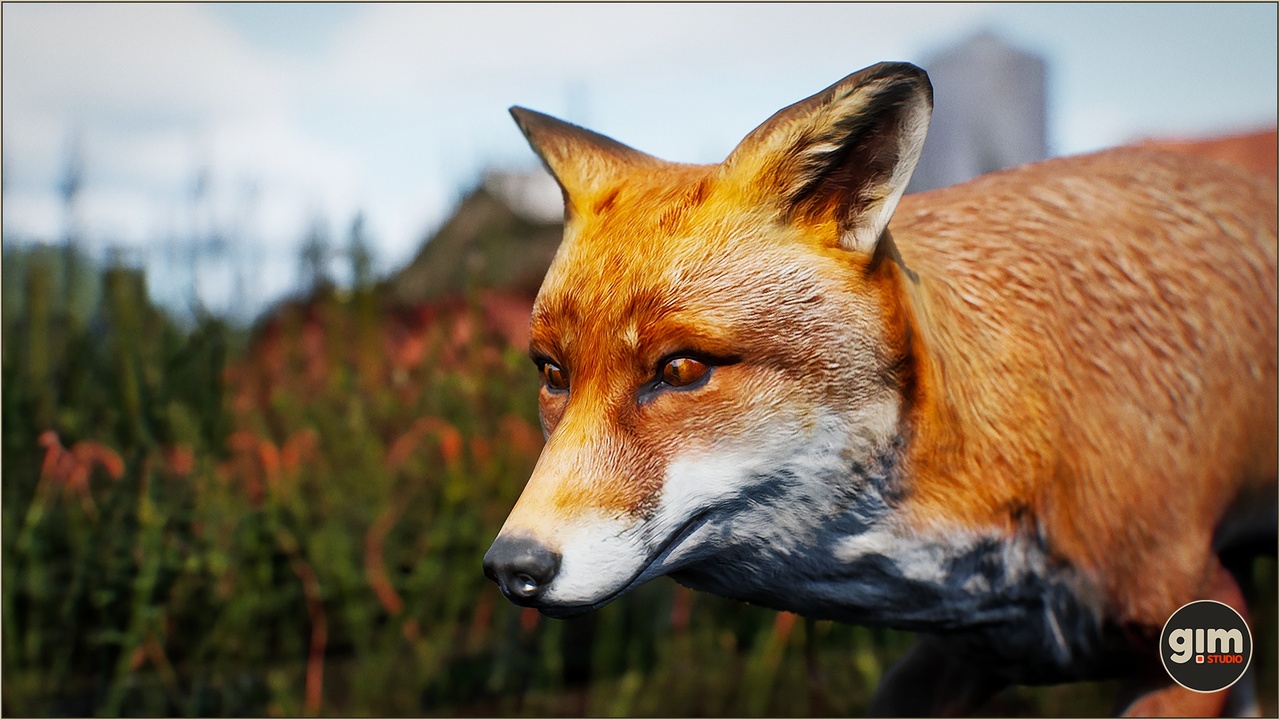 Media 1 for listing Animalia - Fox