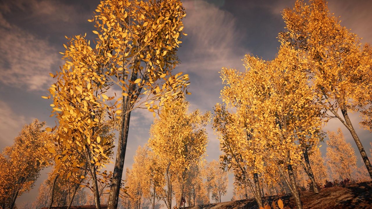 Media 1 for listing Realistic Trees Bundle 1 (Mobile/PC)