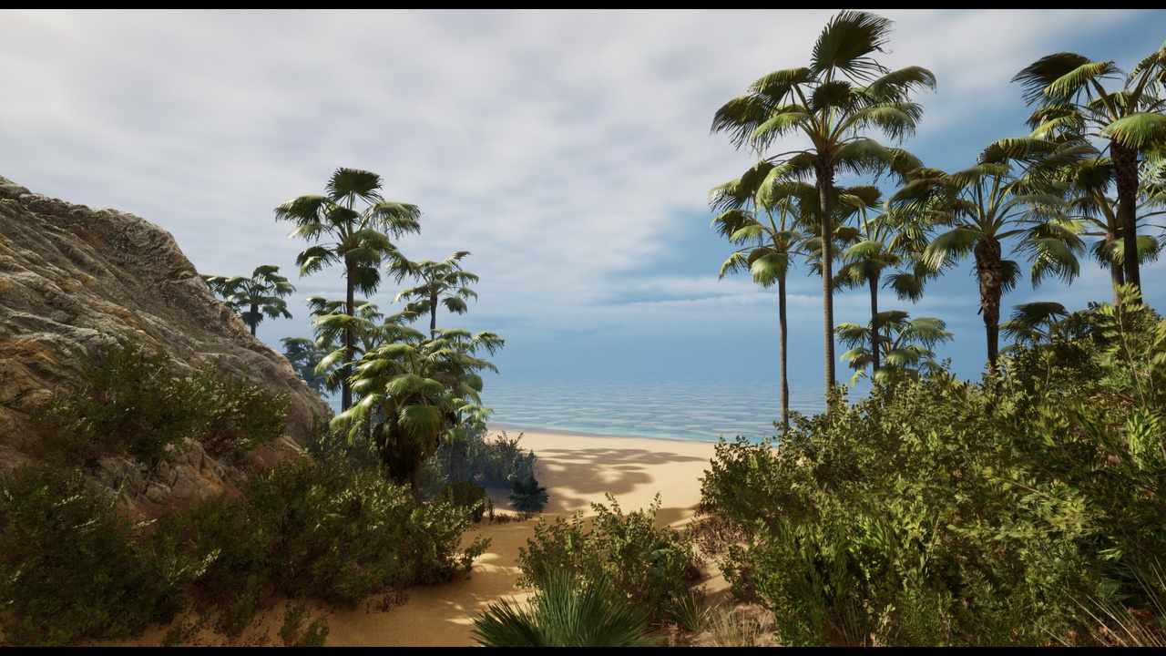 Media 1 for listing Beach and Coast Environment