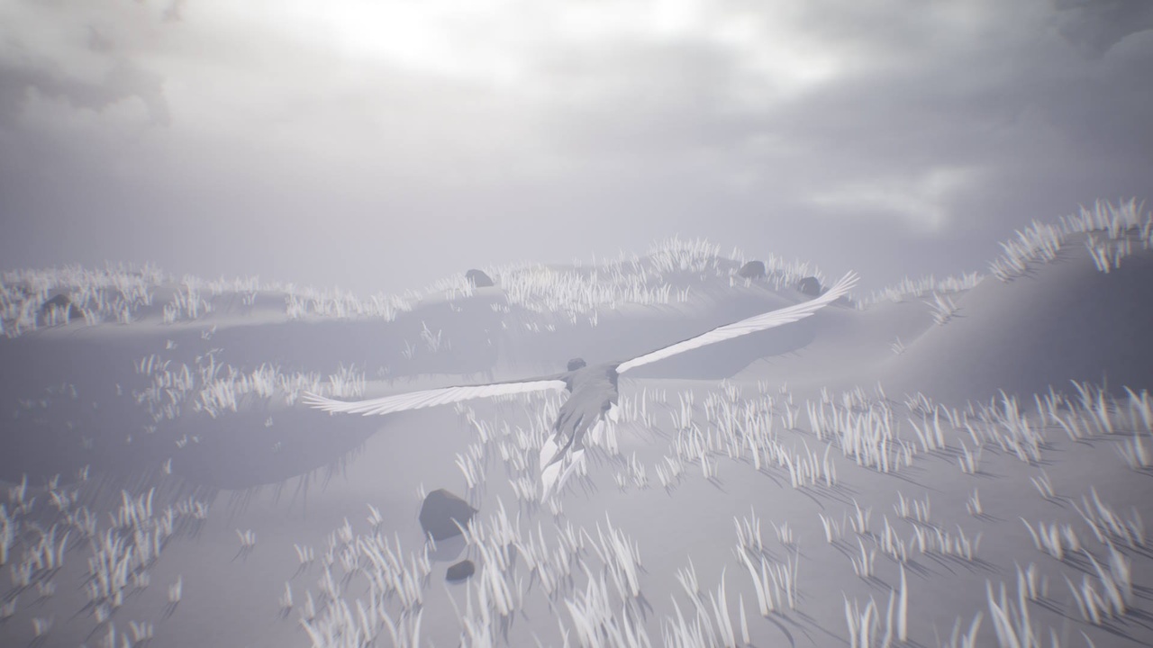 Media 1 for listing Low Poly Legend: Bird of Paradise