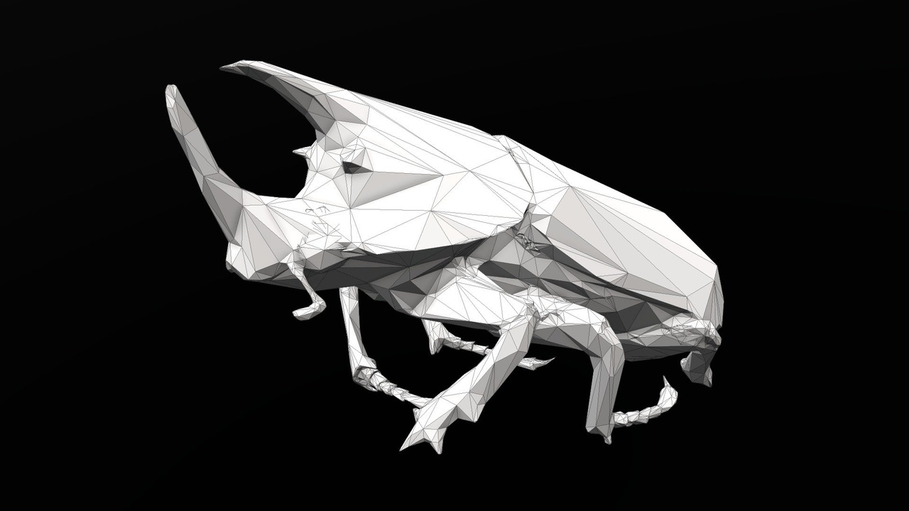 Media 1 for listing BEETLES