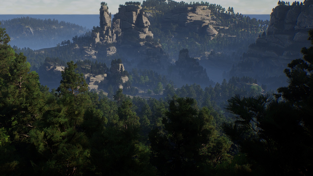 Media 1 for listing Forest