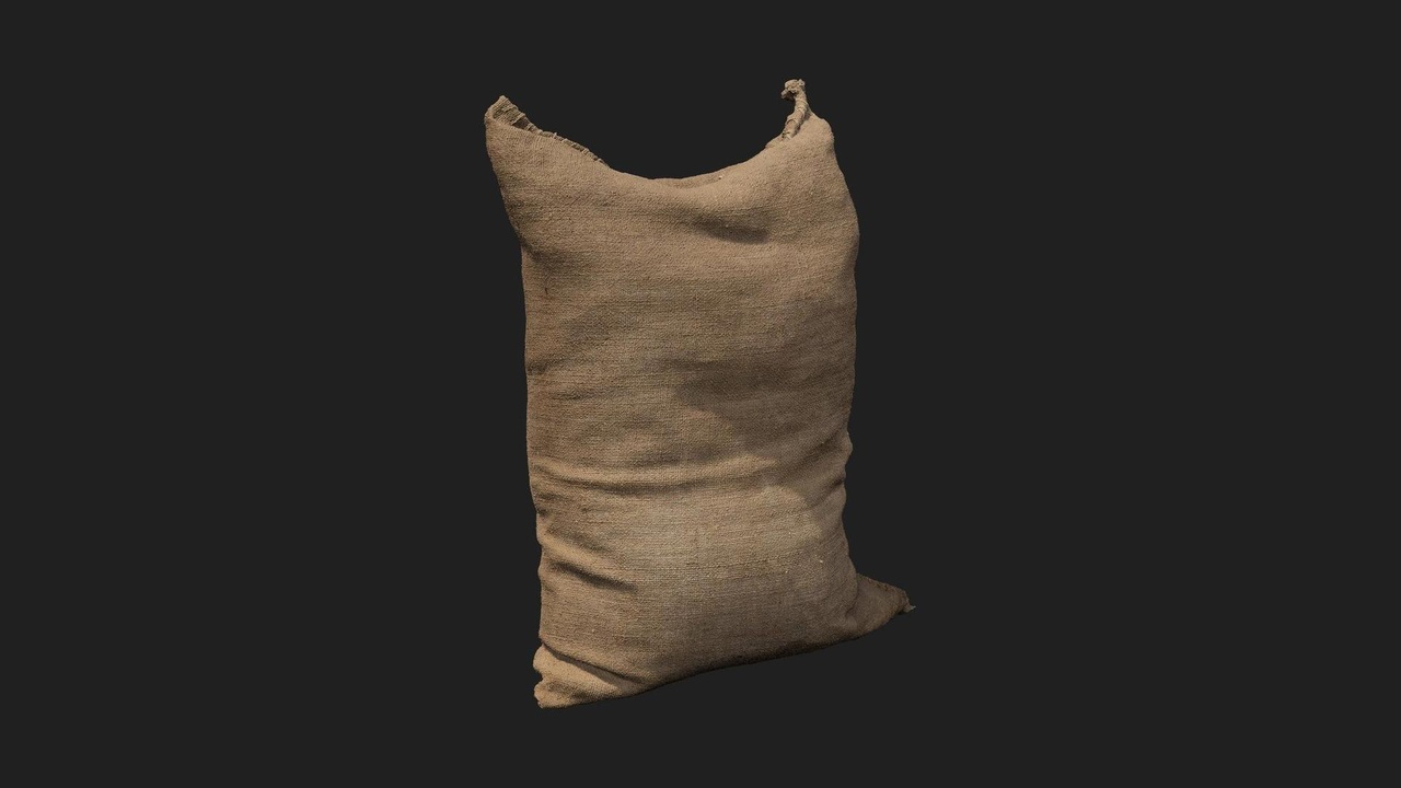 Media 1 for listing Historic Medieval Farm Sack Burlap 02