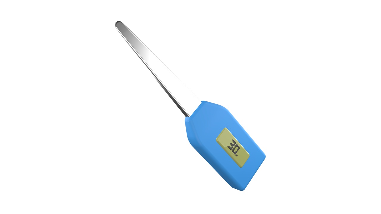 Media 1 for listing Digital Thermometer Tool