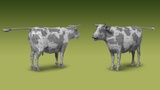 Asset image