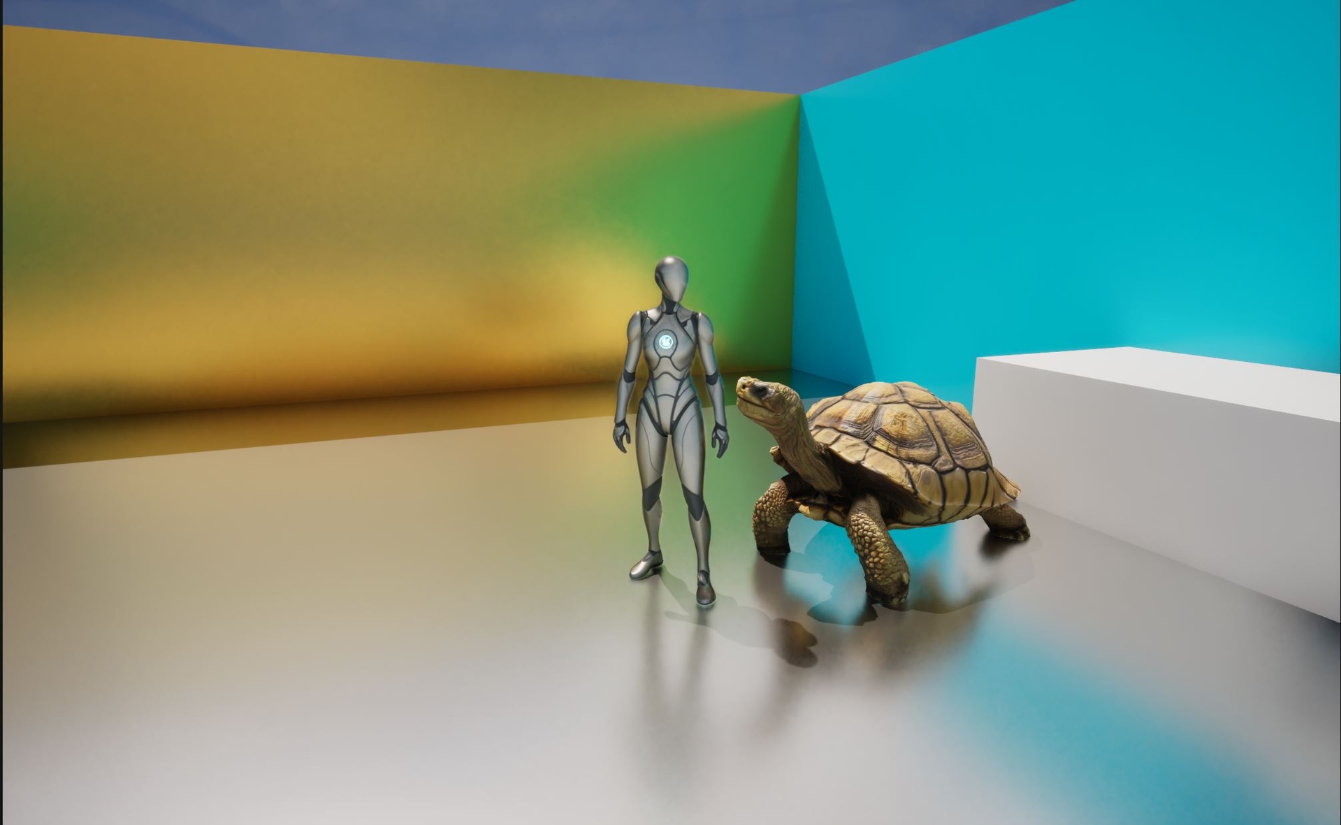 Realistic Land Turtle 2 Low Poly | Fab