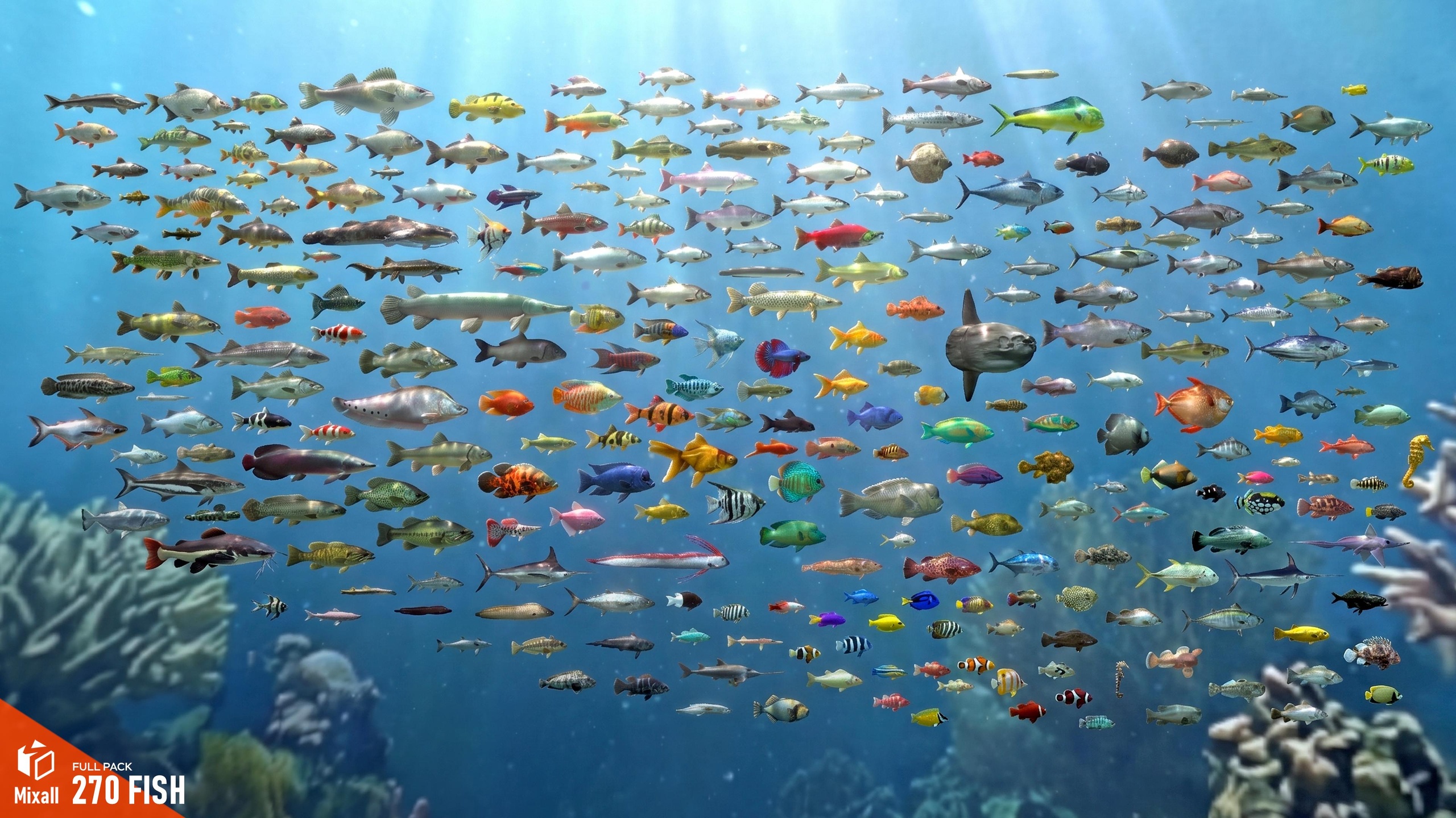 Media 1 for listing 270 fish - Full pack