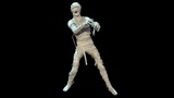 Asset image