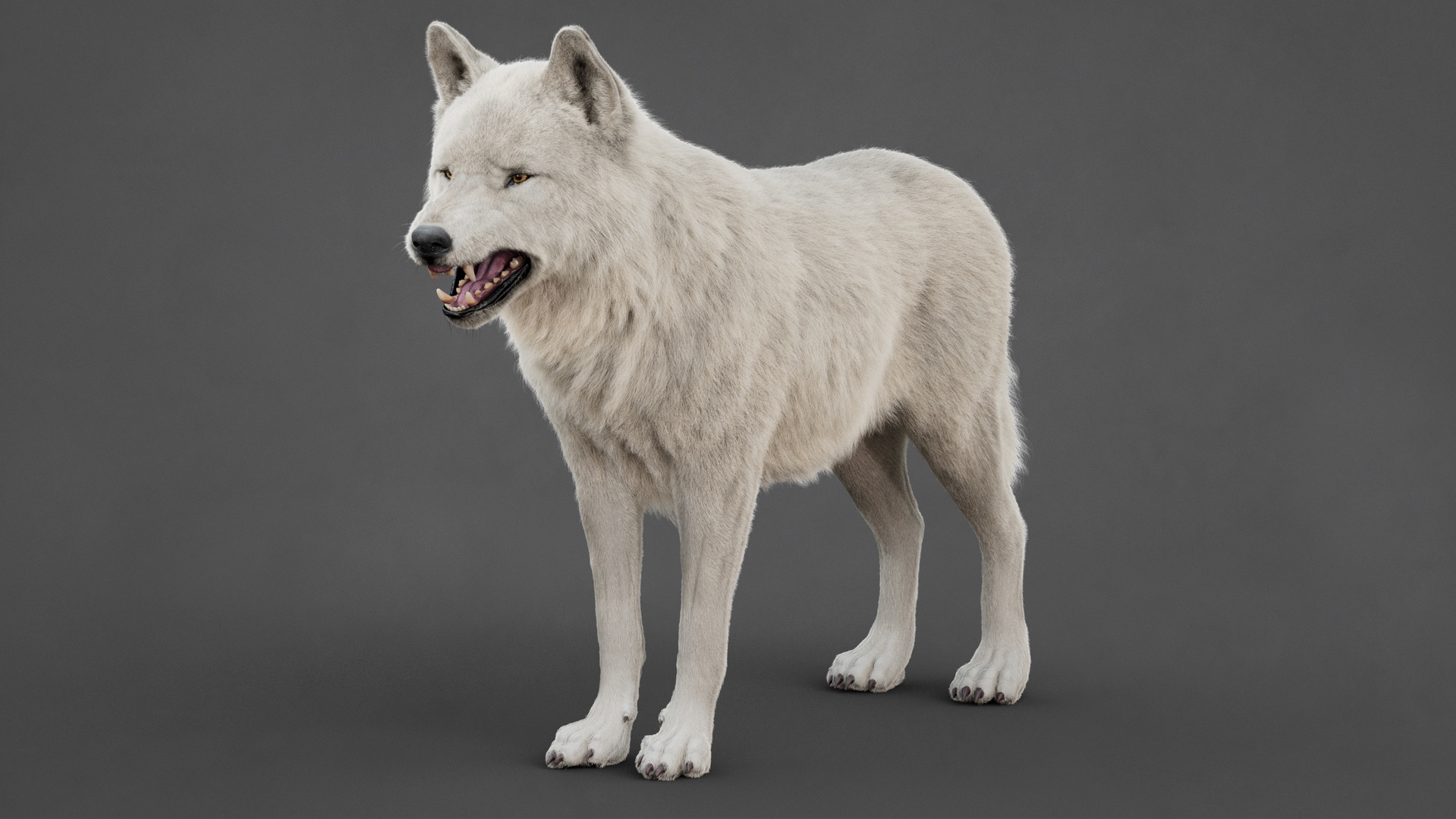 Media 1 for listing Arctic Wolf (XGEN-CORE) (RIG)